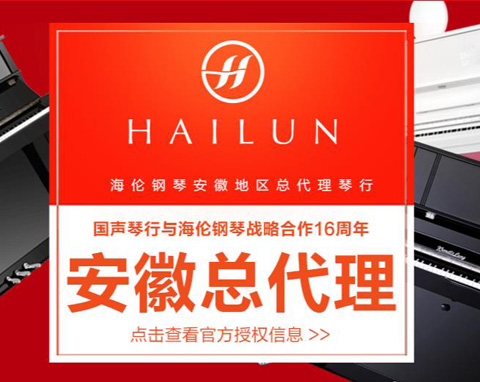 安徽省國(guó)聲琴行有限公司